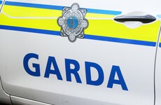 Gardaí appeal for witnesses after man found walking on M8 later dies following domestic disturbance