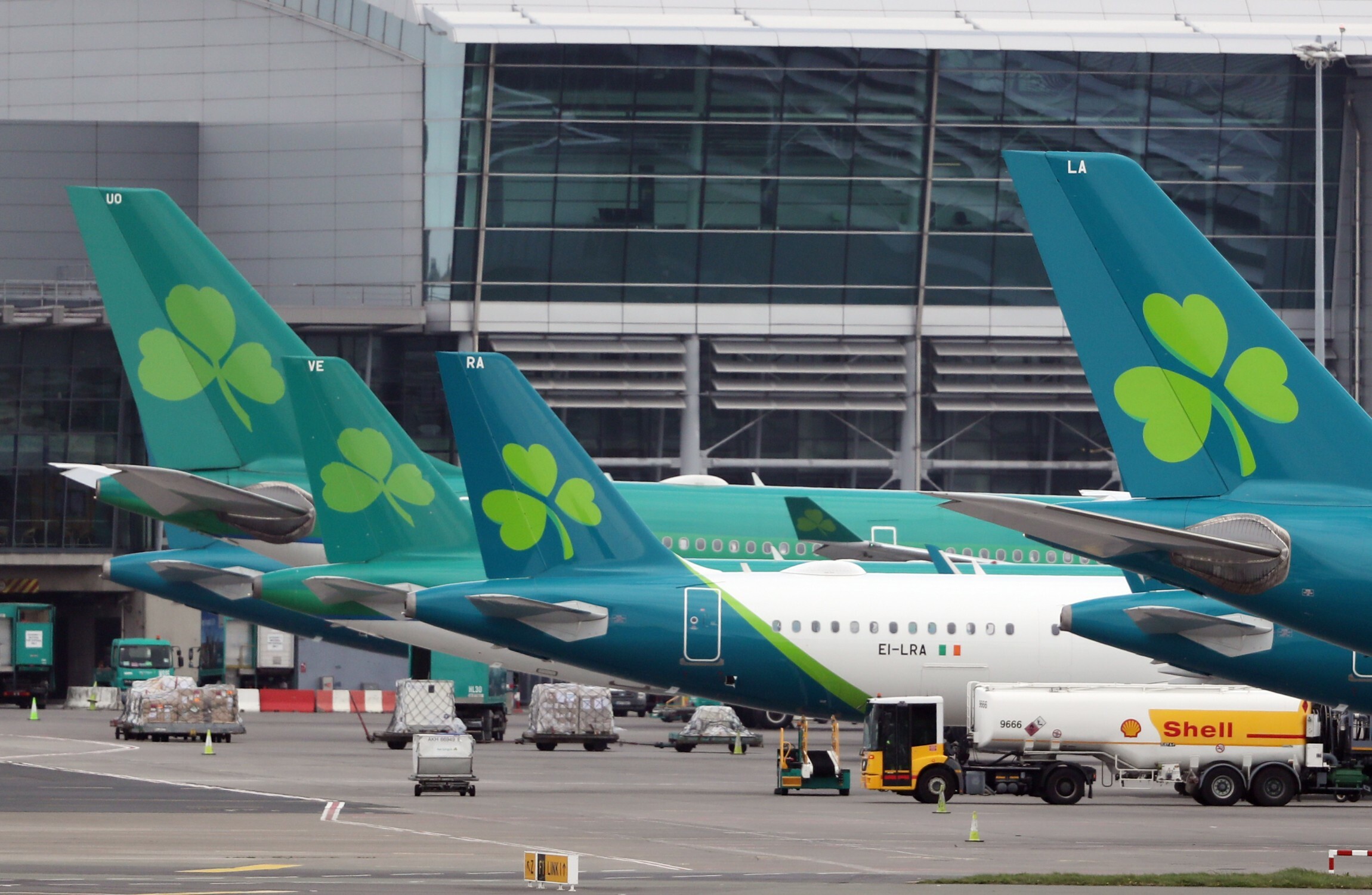 aer lingus baggage lost