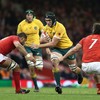 Declan Kidney adds another experienced Wallaby to his London Irish squad