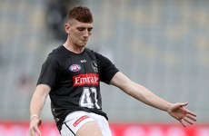 Keane's AFL debut ends in disappointment as Collingwood suffer shock defeat
