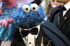 Another 'Call Me Maybe' parody...but this one features the Cookie Monster