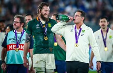'I am lucky Munster are allowing me to play for the Springboks'
