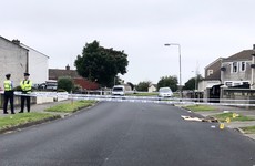 Gardaí appeal for witnesses after shots fired and a fatal hit-and-run in Tallaght