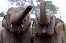 Top readers' comments of the week