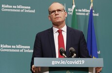 Coveney labels violence against Belarus protesters 'unacceptable' as opposition leader flees to Lithuania