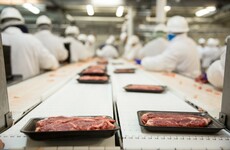 Committee to hear 'more than 40 meat plant workers in one town sharing accommodation'