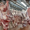 'All sorts of a mess': Dáil Covid committee hears from trade unions about meat plant workers' 'tale of woe'