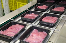 Asylum seeker says Direct Provision workers' hours were reduced at meat plant