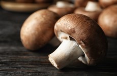Tipperary mushroom plant closes due to cases of Covid-19
