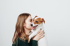 Your evening longread: Why do we keep some animals as pets?
