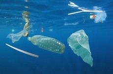 Poll: Have you made efforts to use less plastic in your daily life?