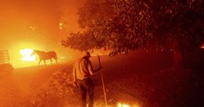 Wildfires wreak havoc as thousands evacuated amid 'extraordinary weather' in California