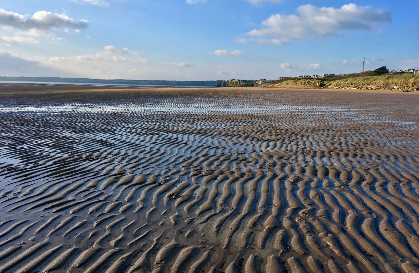 Public advised against swimming at three Wexford beaches due to ...