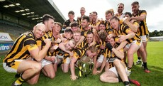 Banville to the fore as Shelmaliers are crowned Wexford senior hurling champions