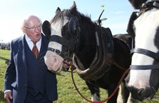 The Ploughing: Plan to hold spectator-free events scaled back again as organisers cancel most contests