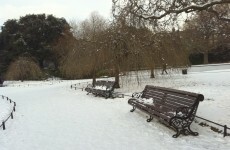 Brace yourself… Dublin could face eight inches of snow tonight