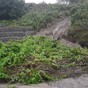 Water notices at 15 Cork beaches after heavy rain