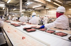 Migrant rights group seeks meeting with Taoiseach over 'serious' concerns from meat factory workers
