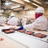 Migrant rights group seeks meeting with Taoiseach over 'serious' concerns from meat factory workers