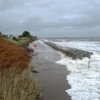Residents fear being left 'homeless' as council warns them not to erect barriers against coastal erosion