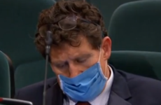 FactCheck: No, Eamon Ryan did not fall asleep in the Dáil chamber again
