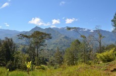 Papua New Guinea alleged cannibals charged