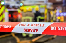 Up to 2,000 pigs killed in farm blaze in Co Down