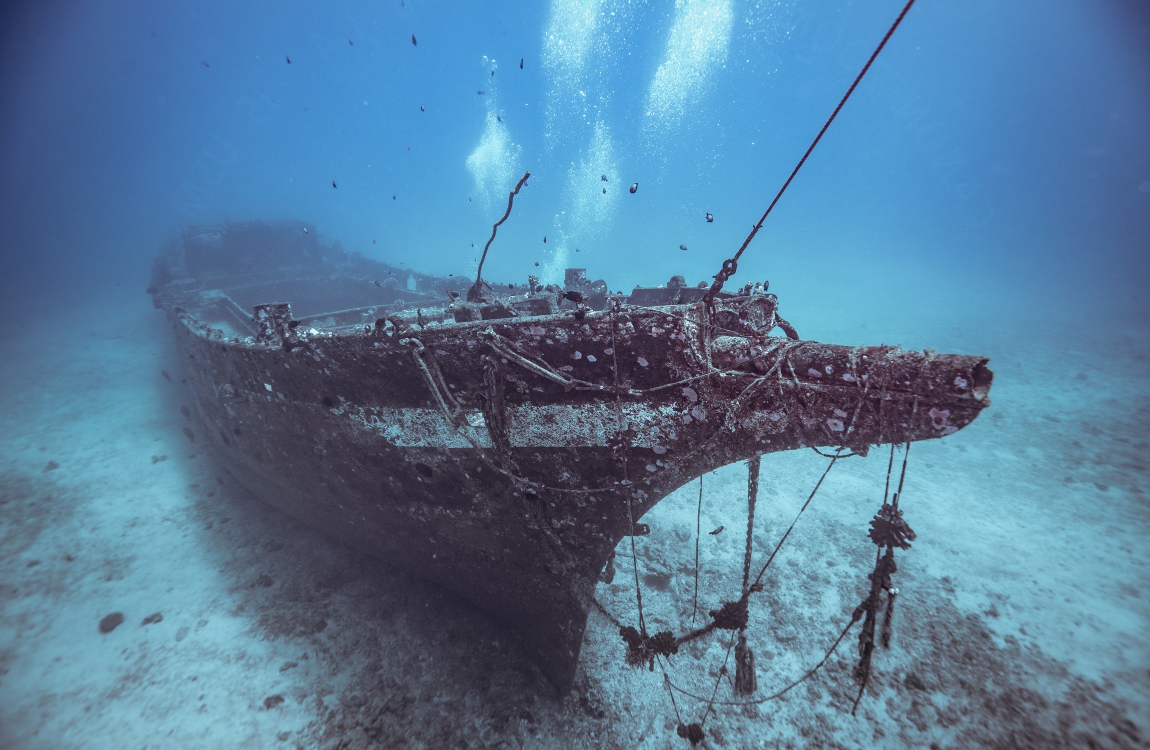 Your Evening Longread: The Long Search For The Missing Ship Vasa