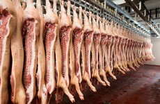 'Right decision': HSE boss says suspension of meat plant testing was necessary to deal with surge in demand elsewhere