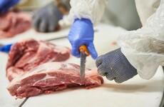 Concern for employees at meat processing plants as working conditions 'fall off radar' and testing paused