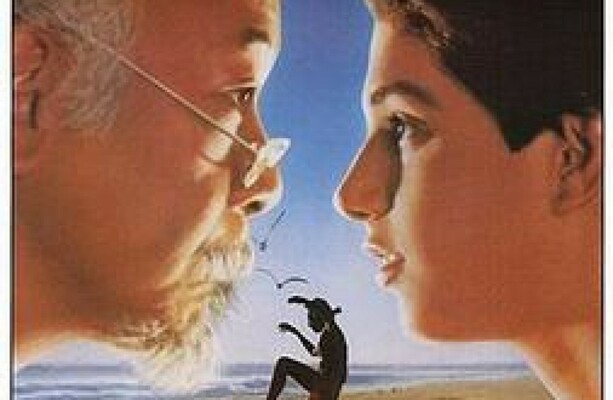 Quiz How Well Do You Remember The Karate Kid Thejournal Ie