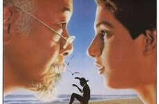 QUIZ: How well do you remember The Karate Kid?