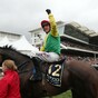 2017 Gold Cup winner Sizing John retired following latest injury setback