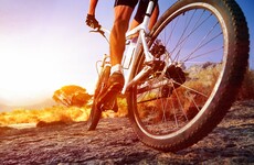 Your evening longread: 'I couldn't move my legs - I knew my life would change forever'