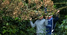 Pádraig Harrington dabbles in some casual gardening midway through his Irish Open round