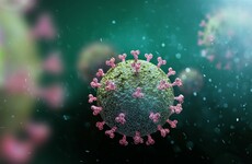 Flu levels may be lower this year - but with Covid-19 around winter could be more dangerous than ever