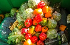Debunked: No, this photo does not show a skip filled with food waste from Dublin restaurants which were forced to close