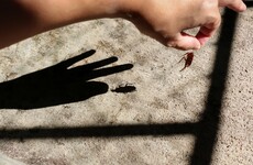 Your evening longread: Inside eBay's 'cockroach cult'