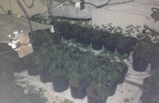 Four men due in court over Galway drug seizure