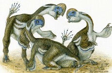 Researchers discover species of toothless, two-fingered dinosaur