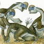 Researchers discover species of toothless, two-fingered dinosaur