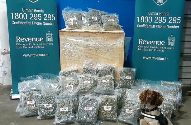 Over €1.4 million worth of cannabis seized in Dublin · TheJournal.ie