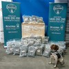 Over €1.4 million worth of cannabis seized in Dublin