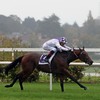 Poetic Flare lights up Leopardstown while Irish challenger Njord also wins