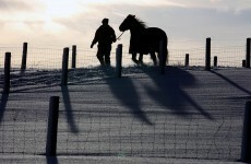 The big freeze: Thursday's Fairyhouse card cancelled