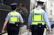Explainer: What are the new Garda powers and what fines can be given?