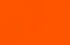 Quiz: How much do you know about the colour orange?