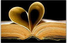 Irish author wins 'bad sex' award