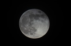 More water on the moon than previously thought, researchers find
