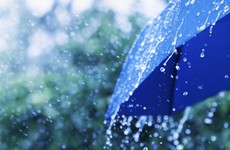 Bring a brolly out with you this week - it's going to be wet and windy